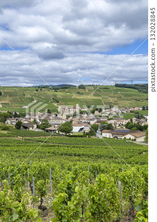 Fuisse village nestled among Bourgogne vineyards Fuisse village nestled among Bourgogne vineyards 132028845