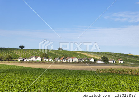 Traditional cellar lane houses creating unique Lower Austria landscape Traditional cellar lane houses creating unique Lower Austria landscape 132028888