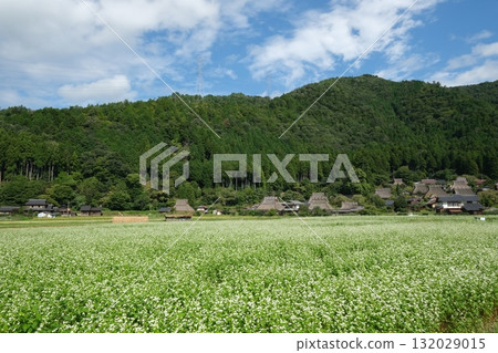 Miyama Kayabuki no Sato in early autumn Miyama Kayabuki no Sato in early autumn 132029015