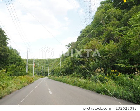 一條被樹木環繞的郊區道路 一條被樹木環繞的郊區道路 132029083