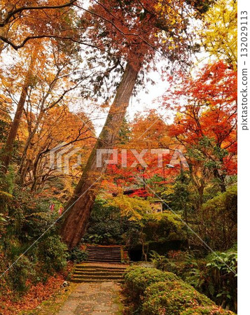 Autumn leaves of Kiyomizudera 132029113