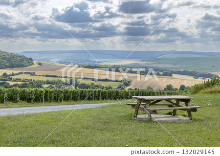 Vineyard view from picnic bench in Grand Est, France Vineyard view from picnic bench in Grand Est, France 132029145