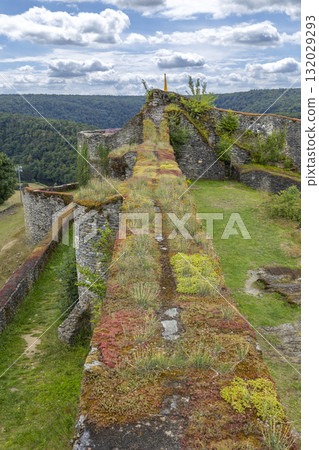 Herbeumont castle ruins wall with vegetation Herbeumont castle ruins wall with vegetation 132029293