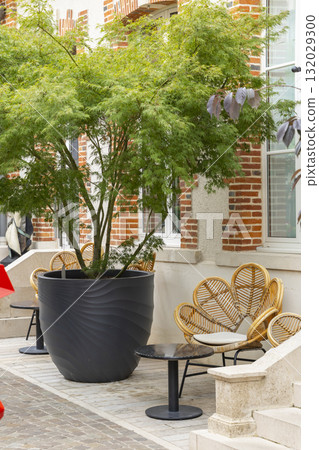 Outdoor patio with potted tree and rattan chairs in Epernay 132029300