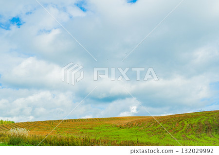 Hill of Light and Shadow - Biei, Hokkaido 132029992