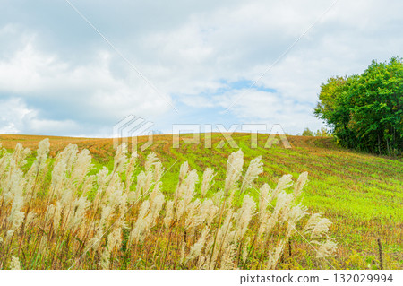 Hill of Light and Shadow - Biei, Hokkaido Hill of Light and Shadow - Biei, Hokkaido 132029994