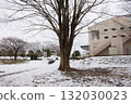 Trees and snow 132030023