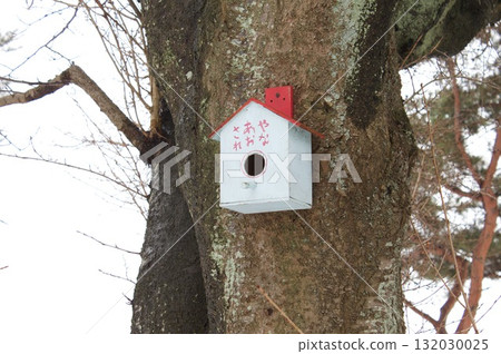 Bird's nesting box 132030025