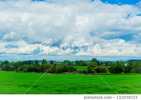 Hill of Light and Shadow - Biei, Hokkaido 132030155