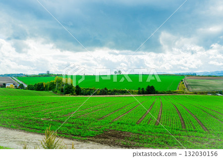 Hill of Light and Shadow - Biei, Hokkaido Hill of Light and Shadow - Biei, Hokkaido 132030156