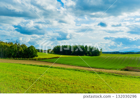 View of Biei's hills and blue sky from Shinei Hill 132030296