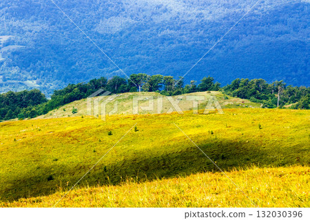 green alpine highlands of ukraine on a sunny day. carpathian mountain landscape in summer. beautiful view of rolling hills and lush grassy meadow. nature scenery of idyllic alps in dappled light green alpine highlands of ukraine on a sunny day. carpathian mountain landscape in summer. beautiful view of rolling hills and lush grassy meadow. nature scenery of idyllic alps in dappled light 132030396