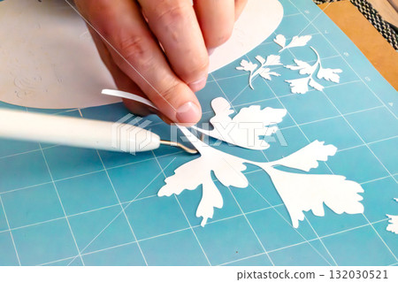 Paper cutting, ornament, design and model cut with a cutting plotter for professional activity or leisure 132030521