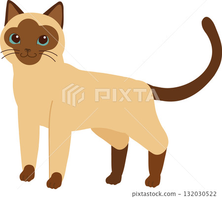 a siamese cat standing. for animal lovers posters and pet store branding 132030522
