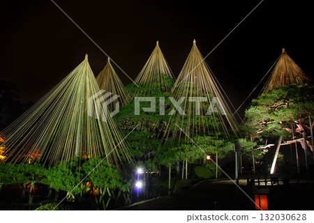 金澤兼六園在夜晚被雪燈點亮,在黑暗中呈現出一排排燈錐,營造出神奇的冬季花園景象。 金澤兼六園在夜晚被雪燈點亮,在黑暗中呈現出一排排燈錐,營造出神奇的冬季花園景象。 132030628