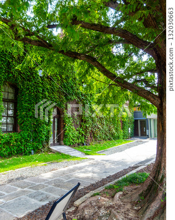 歷史悠久、氛圍濃厚的倉敷美觀地區：常春藤廣場 132030663