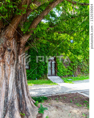 歷史悠久、氛圍濃厚的倉敷美觀地區：常春藤廣場 132030664