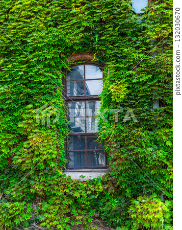 歷史悠久、氛圍濃厚的倉敷美觀地區：常春藤廣場 132030670