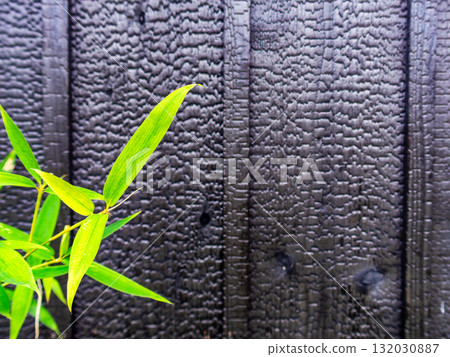 Black burnt wooden fence and young bamboo leaves 132030887