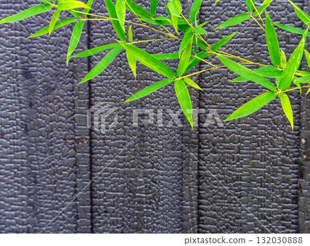 Black burnt wooden fence and young bamboo leaves 132030888