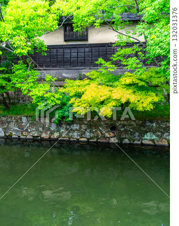 倉敷美觀地區，倉敷川沿岸歷史悠久、風景如畫的地區 132031376