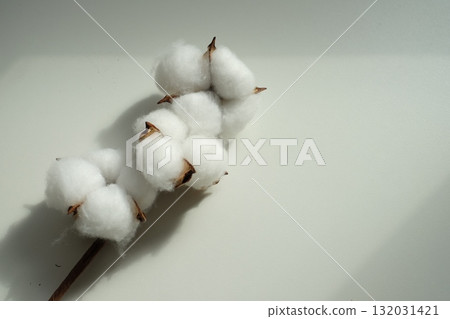 Cotton Flower 132031421