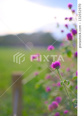 Globetrotters illuminated by the setting sun 132032970