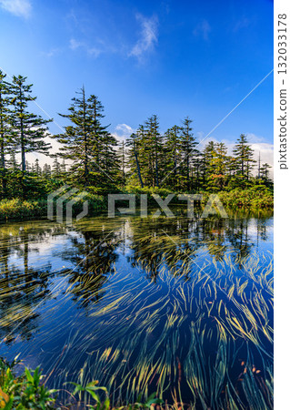 The quiet Haimatsu Swamp in Matsuyama Wetlands, Hokkaido The quiet Haimatsu Swamp in Matsuyama Wetlands, Hokkaido 132033178