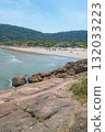 Guaiuba Beach, Guaruja SP, Brazil 132033223