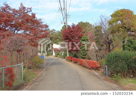 Autumn in Angyo, the village of bonsai trees (Kawaguchi City, Saitama Prefecture) 132033234