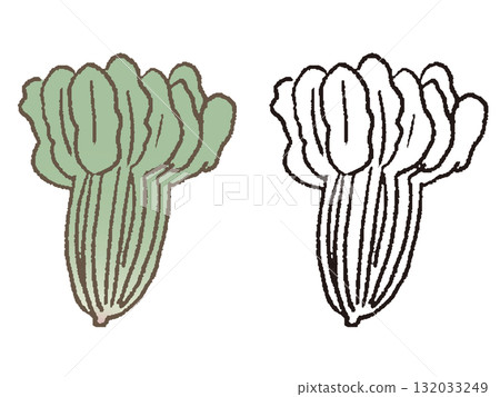 手繪菠菜 手繪菠菜 132033249