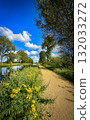 A Serene Pathway Along the Water, Adorned with Vibrant Yellow Flowers, Awaits You Here 132033272