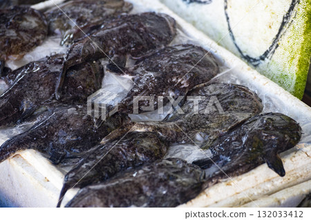 奇異的海魚:形狀獨特的鯊魚魚專題照片 奇異的海魚:形狀獨特的鯊魚魚專題照片 132033412