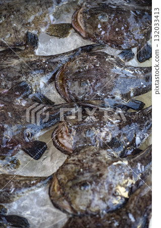 奇異的海魚:形狀獨特的鯊魚魚專題照片 奇異的海魚:形狀獨特的鯊魚魚專題照片 132033413