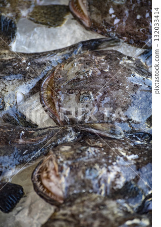 奇異的海魚:形狀獨特的鯊魚魚專題照片 奇異的海魚:形狀獨特的鯊魚魚專題照片 132033414