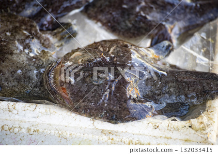 奇異的海魚:形狀獨特的鯊魚魚專題照片 奇異的海魚:形狀獨特的鯊魚魚專題照片 132033415