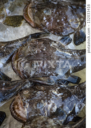 奇異的海魚:形狀獨特的鯊魚魚專題照片 奇異的海魚:形狀獨特的鯊魚魚專題照片 132033416