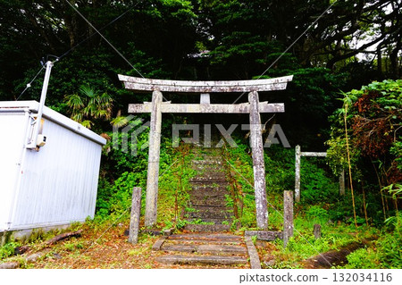 Kashima Shrine, Kashima Shrine, Tashirojima Island, Cat Island, Cats, Odomari Port Kashima Shrine, Kashima Shrine, Tashirojima Island, Cat Island, Cats, Odomari Port 132034116