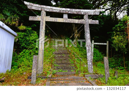 Kashima Shrine, Kashima Shrine, Tashirojima Island, Cat Island, Cats, Odomari Port 132034117