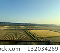 Autumn rural landscape and rice fields 132034269