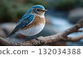 Vibrant blue and brown bird perching on a textured tree branch in a natural setting 132034388