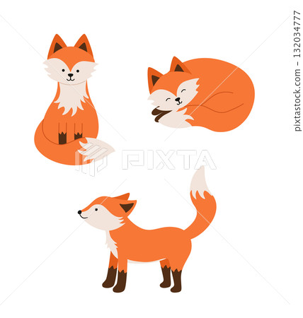 Funny fox characters in different poses. Vector illustration, a set of forest fox cubs icons. Funny fox characters in different poses. Vector illustration, a set of forest fox cubs icons. 132034777