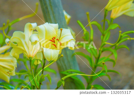 水氣球勺 132035317