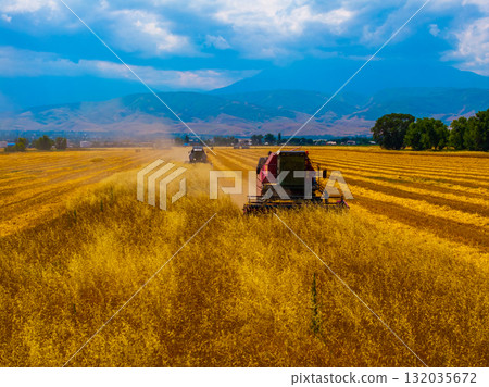 Combine harvesters working in rural field under serene mountains 132035672
