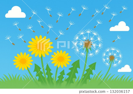 蒲公英藍色天空向量 132036157