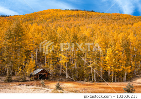 Wooden cottage with stunning yellow aspen trees on the mountain during fall foliage in Colorado Wooden cottage with stunning yellow aspen trees on the mountain during fall foliage in Colorado 132036213