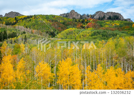 Colorful fall foliage of Kebler pass, a scenic mountain pass in the Rocky Mountains, Colorado, USA 132036232