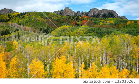 Colorful fall foliage of Kebler pass, a scenic mountain pass in the Rocky Mountains, Colorado, USA 132036263