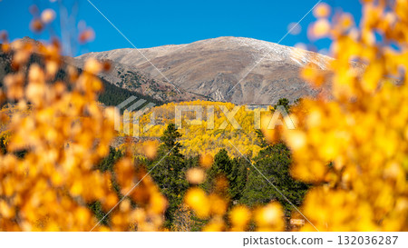 Beautiful fall foliage scenery in Colorado, United States 132036287