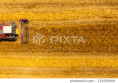 Combine harvester working in serene agricultural field during day 132036404